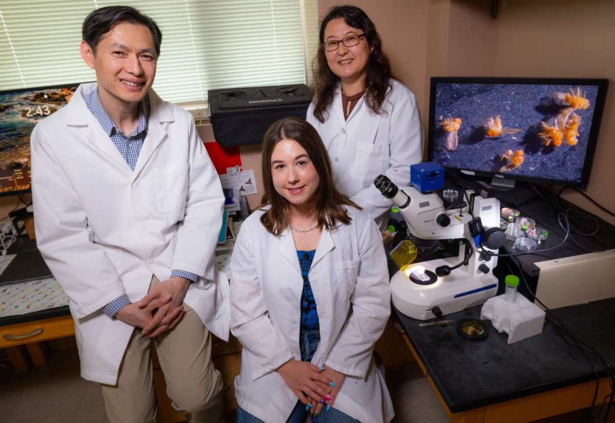 Article: With student help, researchers find factor linking longer maturation to longer life