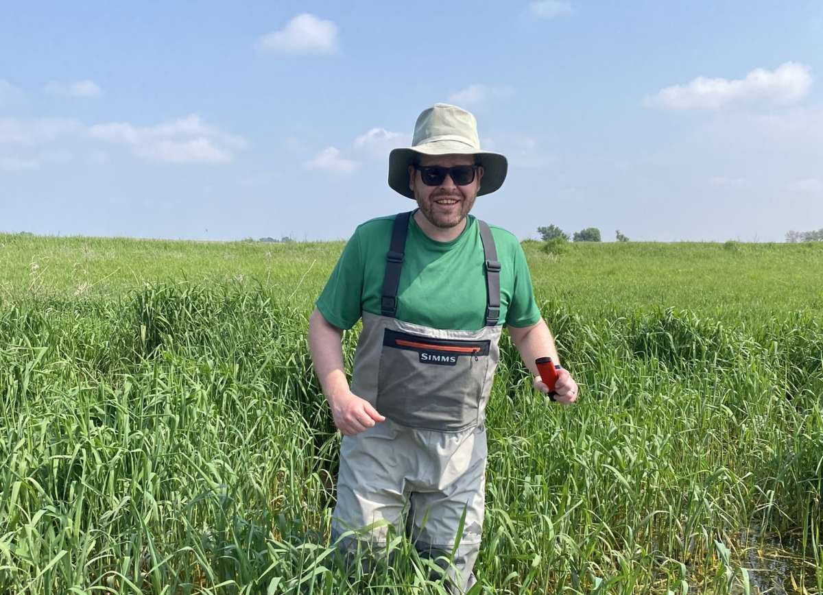 Article: Iowa State ecologist studying water treatment wetlands to optimize benefits