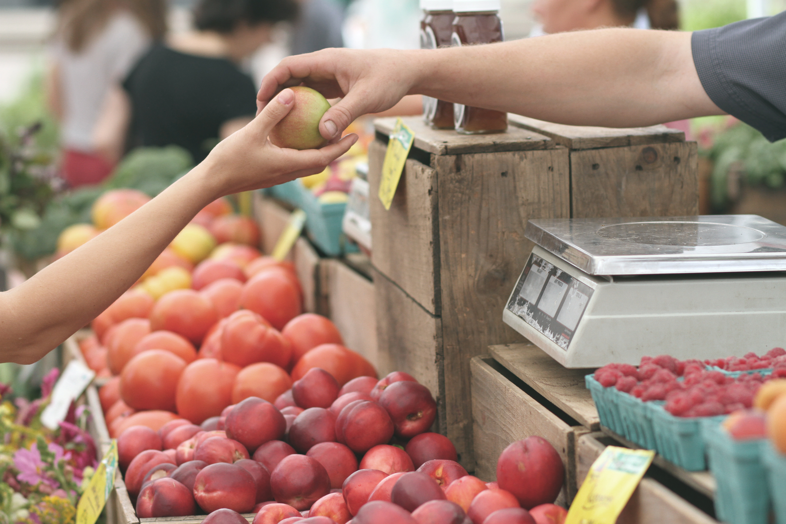 Customer purchasing produce.