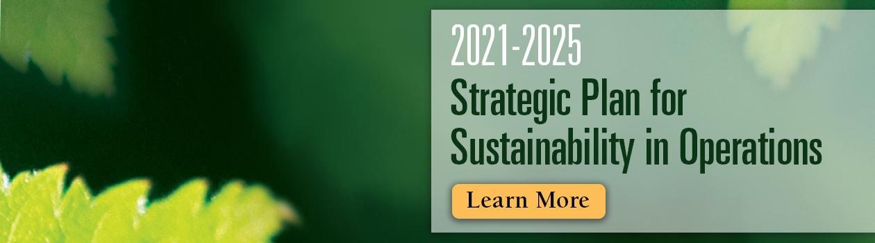 2020 Strategic Plan